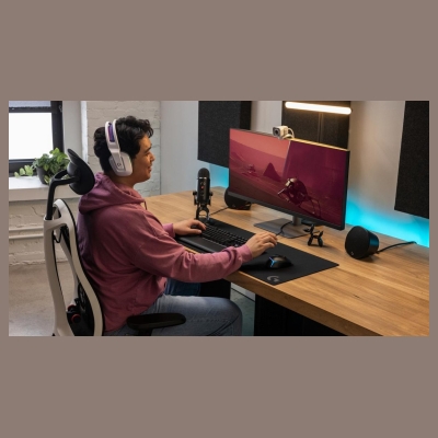 Logitech Mouse  G502 X PLUS black black / 910-006163