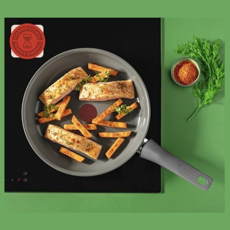 Tefal Pan | C4260443 | Frying | Diameter 24 cm | Suitable for induction hob | Fixed handle | Grey