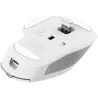 Trust MOUSE USB OPTICAL WRL OZAA+/MULTI-CONNECT WHT 24935 TRUST