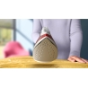 Philips 2000 Series Steam iron DST2010/40, 2000W, 25g/min continous steam, 100g steam boost, non-stick soleplate, 250ml water ta
