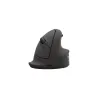 Fellowes MOUSE USB OPTICAL WRL VERTICAL/ERGO+ L RT 100143582 FELLOWES