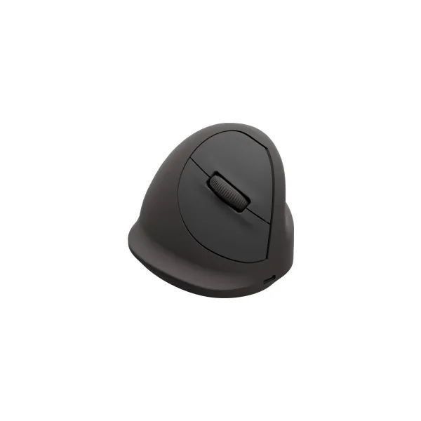 Fellowes MOUSE USB OPTICAL WRL VERTICAL/ERGO+ L LT 100143584 FELLOWES