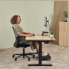 Fellowes MOUSE USB OPTICAL WRL VERTICAL/ERGO+ L LT 100143584 FELLOWES