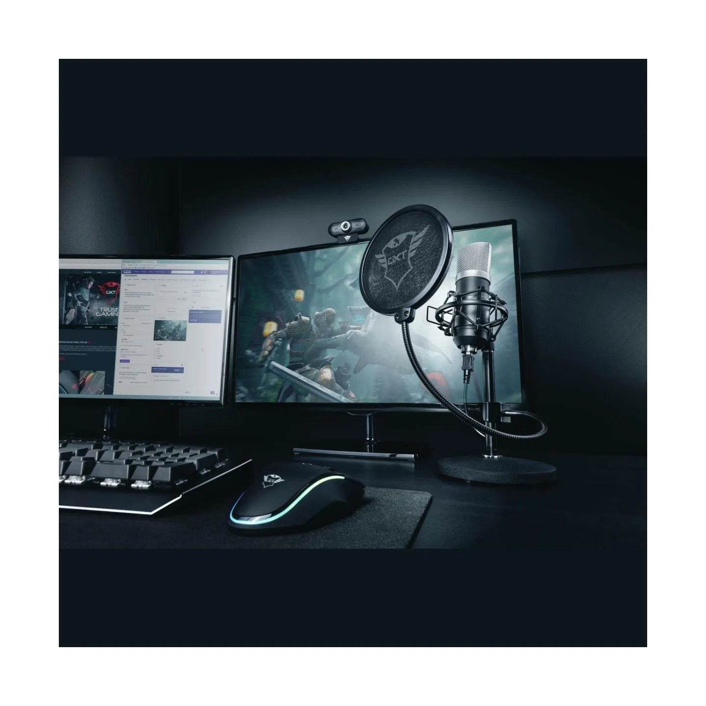 Trust MICROPHONE GXT 252 EMITA/21753 TRUST