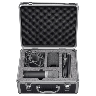Trust MICROPHONE GXT 252 EMITA/21753 TRUST