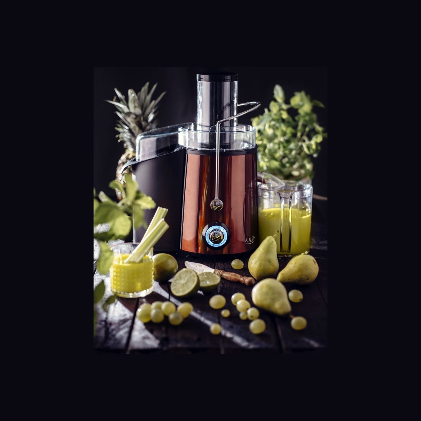 Adler | Juicer | AD 4129 | Type Juicer maker | Copper | 1000 W | Number of speeds 2