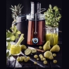 Adler | Juicer | AD 4129 | Type Juicer maker | Copper | 1000 W | Number of speeds 2