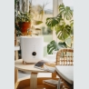 Adler | AD 7972 | Humidifier | 23 W | Water tank capacity 4 L | Suitable for rooms up to 35 m² | Ultrasonic | Humidification cap