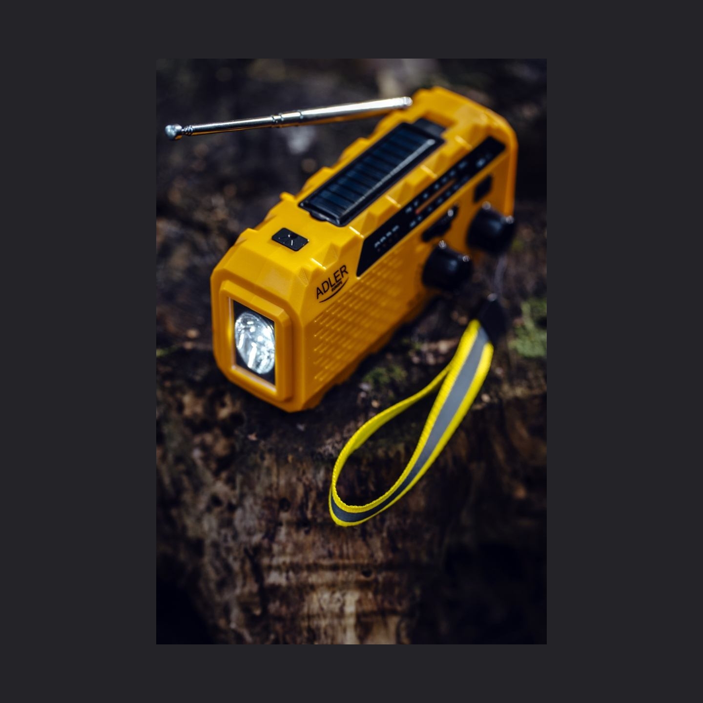 Adler | Portable radio with flashlight | AD 1197 | Alarm function
