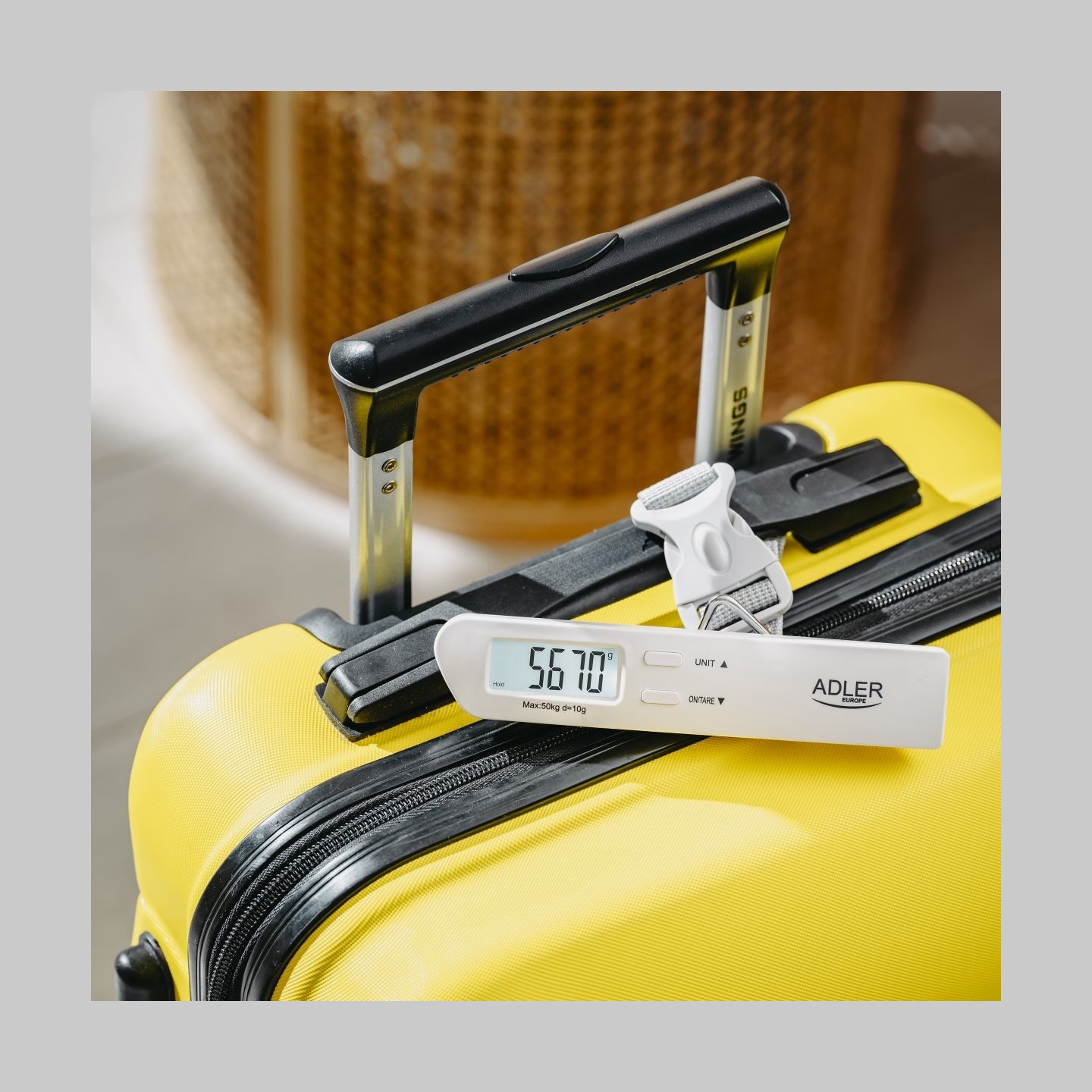 Adler | Travel Luggage Scale | AD 8191 | Maximum weight (capacity) 50 kg | Accuracy 10 g | Grey