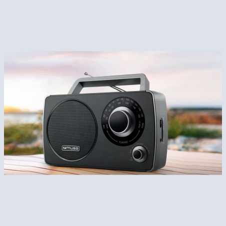 Muse | Portable Radio | M-075 R | AUX in