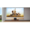 Benq | GP520 | 4K UHD (3840 x 2160) | 2600 ANSI lumens | Black | Wi-Fi