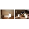 Xiaomi | Lantern | Multi-function Camping Lantern | 6-230 lm