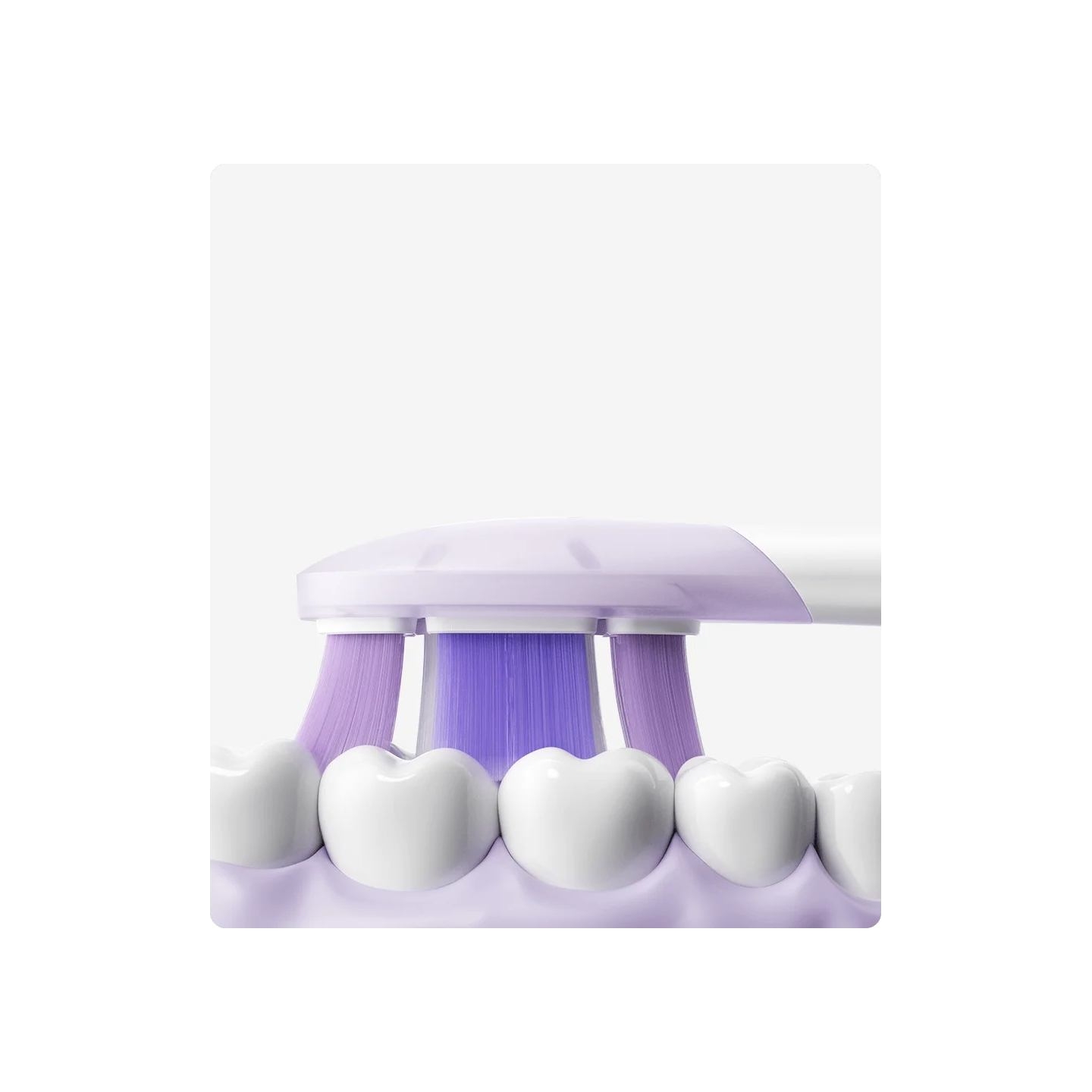 Xiaomi | Oscillation Electric Toothbrush Replacement Heads (Soft), 3 pcs