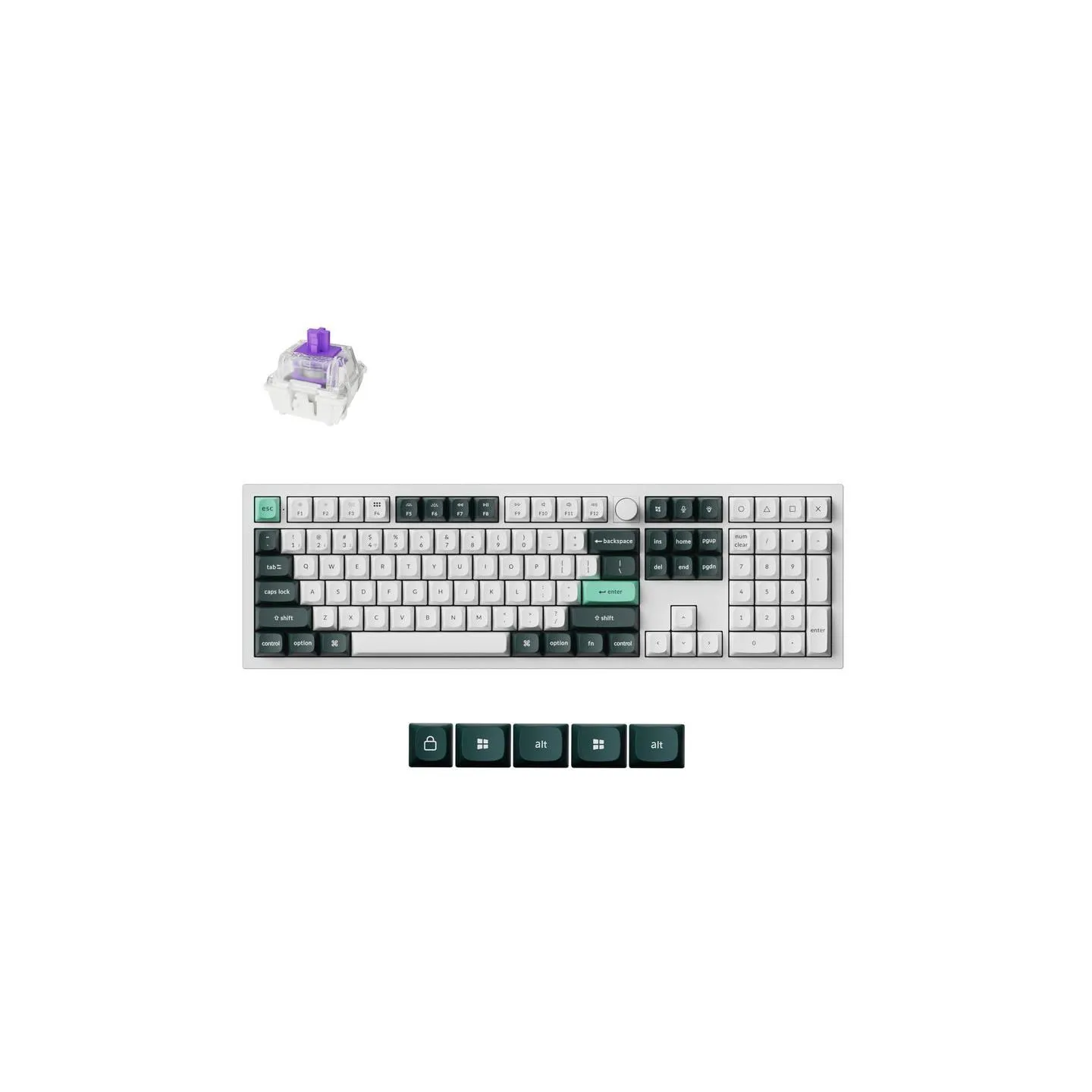 Keychron KEYBOARD WRL Q6 HE RGB/SHELL WHITE Q6H-P1 KEYCHRON