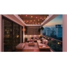 Philips Hue Hue Festavia Globe Outdoor String Lights, 14m Extension | 30 W