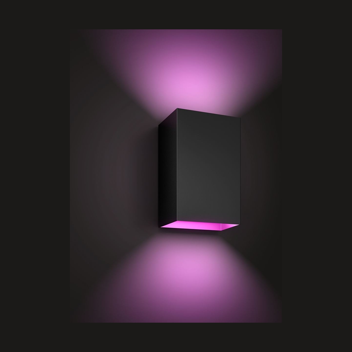 Philips Hue WCA Resonate Outdoor Wall Lantern, Black | 8 W | 2000-6500 Hue White Colour Ambiance