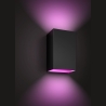 Philips Hue WCA Resonate Outdoor Wall Lantern, Black | 8 W | 2000-6500 Hue White Colour Ambiance