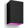 Philips Hue WCA Resonate Outdoor Wall Lantern, Black | 8 W | 2000-6500 Hue White Colour Ambiance