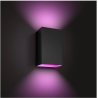 Philips Hue WCA Resonate Outdoor Wall Lantern, Black | 8 W | 2000-6500 Hue White Colour Ambiance