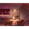 Philips Hue WCA 1600 A67 1P EU | E27 | 11.8 W | White and colour light | Bluetooth and Zigbee