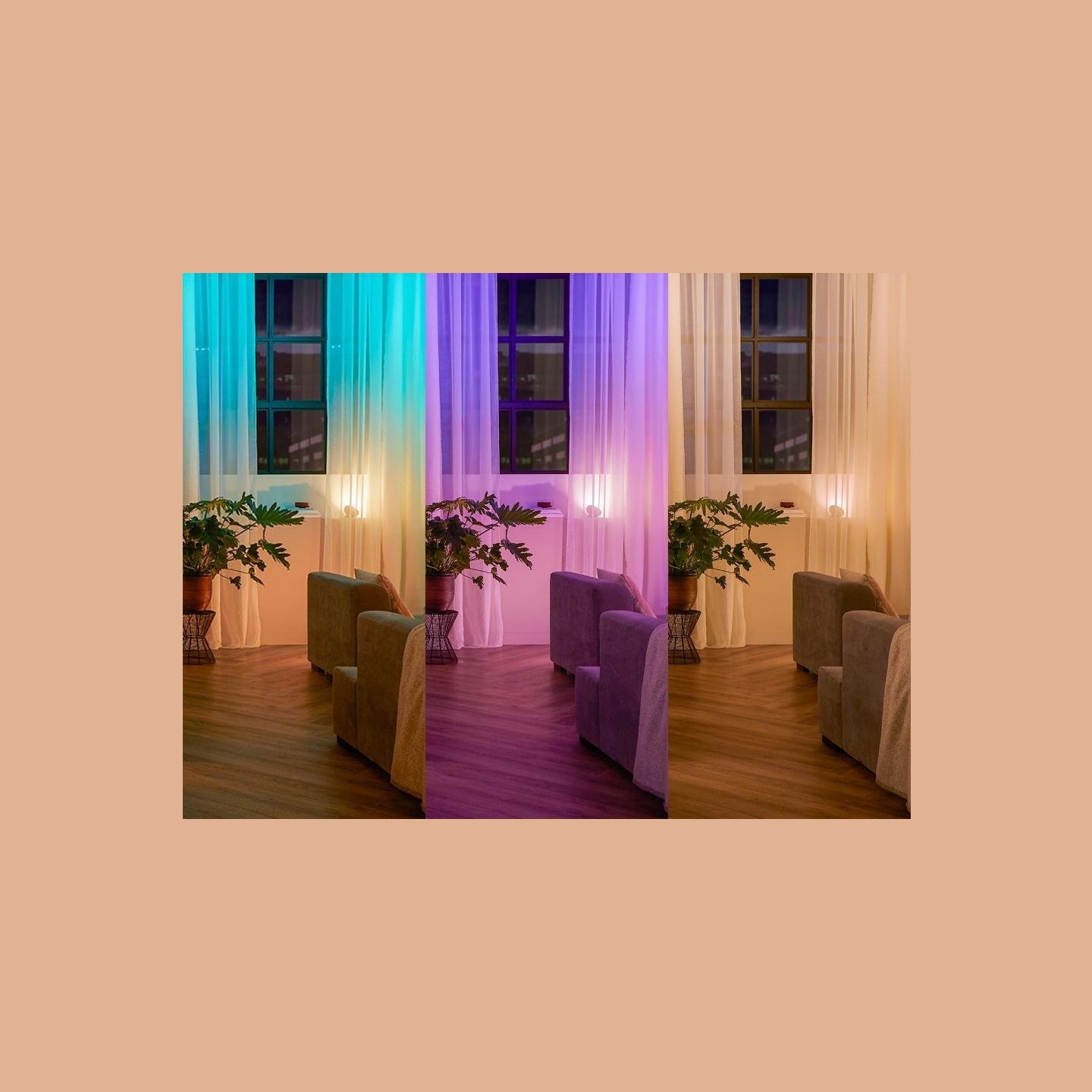 Philips Hue | Hue Wall Switch Module | White