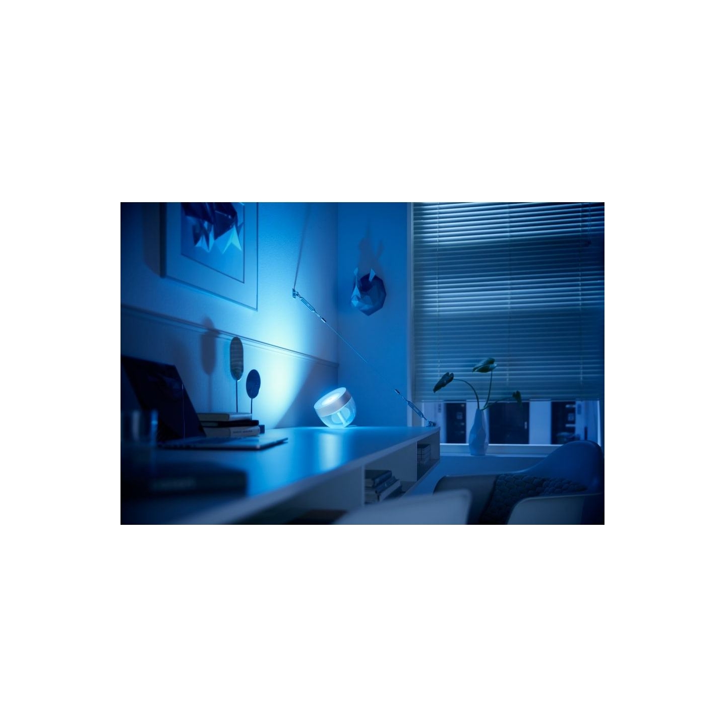 Philips Hue | Hue Iris Portable Lamp, Silver Special Edition | Silver | Portable lamp