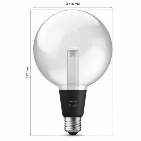 Philips Hue WCA Lightguide G125 | E27 | 6.8 W | White and colour light