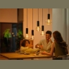 Philips Hue WCA Lightguide G125 | E27 | 6.8 W | White and colour light
