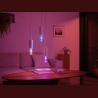 Philips Hue WCA Lightguide ST72 | E27 | 6.8 W | White and colour light