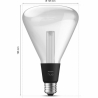 Philips Hue WCA Lightguide Triangle | E27 | 6.8 W | White and colour light