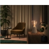 Philips Hue WCA Lightguide Triangle | E27 | 6.8 W | White and colour light