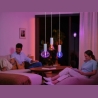 Philips Hue WCA Lightguide Triangle | E27 | 6.8 W | White and colour light