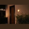 Philips Hue WCA Daylo Outdoor Wall Lantern, Black | 15 W | 2000-6500 Hue White Colour Ambiance