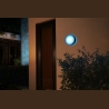 Philips Hue WCA Daylo Outdoor Wall Lantern, Black | 15 W | 2000-6500 Hue White Colour Ambiance