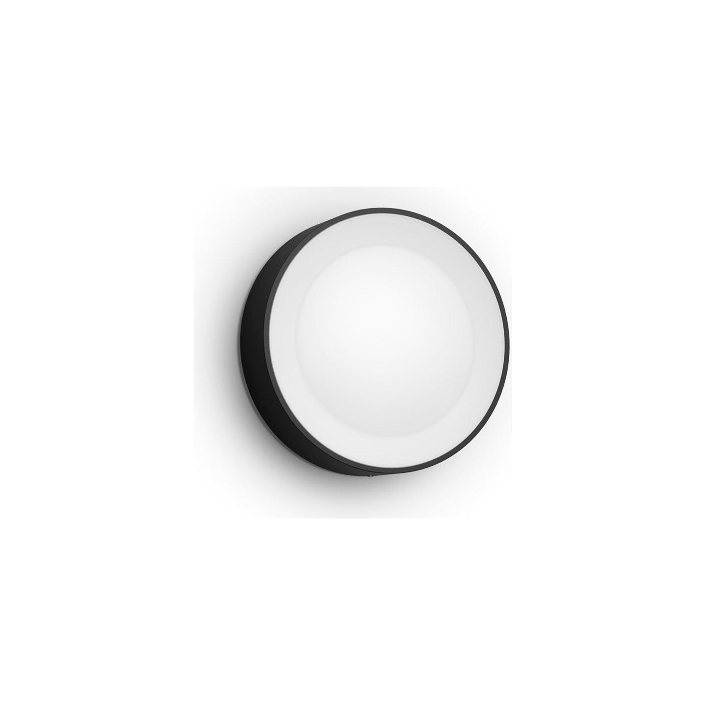 Philips Hue WCA Daylo Outdoor Wall Lantern, Black | 15 W | 2000-6500 Hue White Colour Ambiance