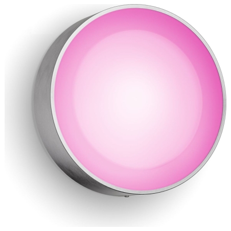 Philips Hue WCA Daylo Outdoor Wall Lantern, Inox | 15 W | 2000-6500 Hue White Colour Ambiance