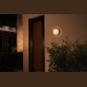 Philips Hue WCA Daylo Outdoor Wall Lantern, Inox | 15 W | 2000-6500 Hue White Colour Ambiance