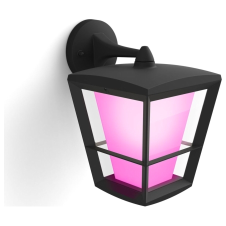 Philips Hue WCA Econic Outdoor Wall Lantern | 15 W | 2000-6500 Hue White Colour Ambiance