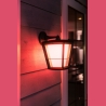 Philips Hue WCA Econic Outdoor Wall Lantern | 15 W | 2000-6500 Hue White Colour Ambiance