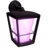 Philips Hue WCA Econic Outdoor Wall Lantern | 15 W | 2000-6500 Hue White Colour Ambiance