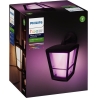 Philips Hue WCA Econic Outdoor Wall Lantern | 15 W | 2000-6500 Hue White Colour Ambiance