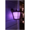 Philips Hue WCA Econic Outdoor Wall Lantern | 15 W | 2000-6500 Hue White Colour Ambiance