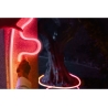 Philips Hue Neon Lightstrip for outdoor use, 10 m | 30 W | Bluetooth, Zigbee