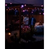 Philips Hue Festavia Globe Outdoor String Lights, 7m Extension | 30 W | Bluetooth, Zigbee