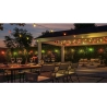 Philips Hue Hue Festavia Globe Outdoor String Lights, 21m Extension | 30 W