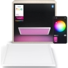 Philips Hue Surimu Square Panel Light, 60 x 60 cm | 2000-6500 Hue White Color Ambiance