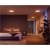 Philips Hue Surimu Panel Square Small | 2000-6500 K, Hue White and Color Ambiance