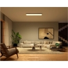 Philips Hue Surimu rectangular panel light, 120 x 30 cm | 2000-6500 Hue White Color Ambiance | Bluetooth, Zigbee