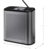 Sharp OSAKA Portable Digital Radio | DR-P530(GY) | USB port | Bluetooth | FM radio | Wireless connection